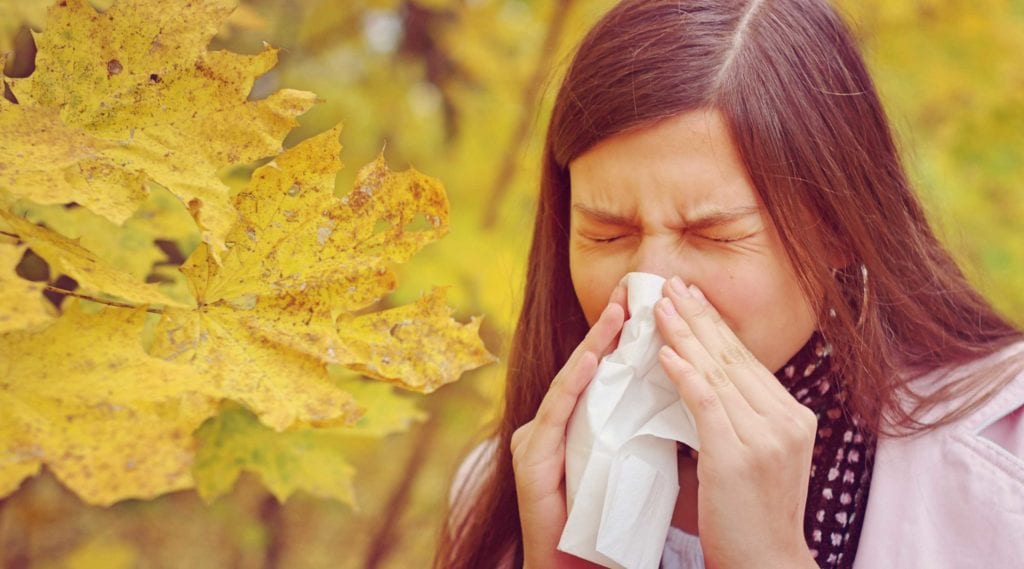 September 2019 Specials - Integrative Medicine Springfield MO