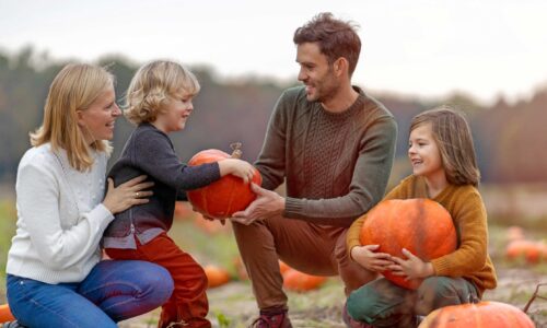 October 2025 Specials - Correct Hormonal Imbalance in Springfield Missouri